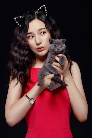 王子子公益海报曝光 呼吁关爱流浪猫