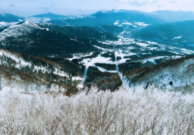 孕妈贾静雯带家人滑雪 晒全家福显温馨